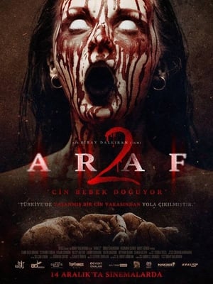 Araf 2 2019 Hindi Dual Audio 480p Web-DL 300MB