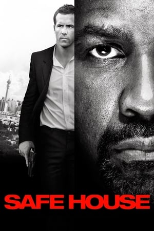 Safe House (2012) Hindi Dual Audio HDRip 720p – 480p